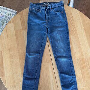 Madewell 9" Mid-Rise Medium Wash Skinny Jeans (Size 26)